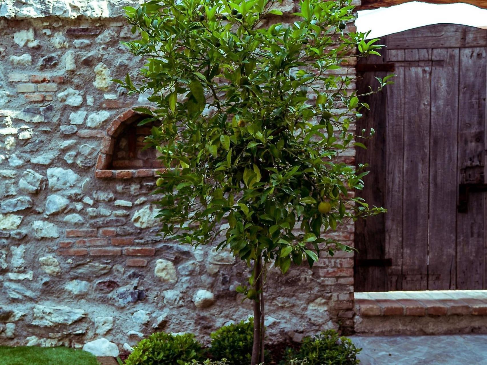 Villa Fontanelle Gardapartments Polpenazze del Garda Kültér fotó